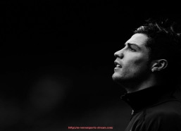 人人体育直播-柏林拥有的德甲球队数量及球队发展现状