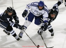 人人体育直播-火箭队招募霍华德事件回顾与转会背景解析